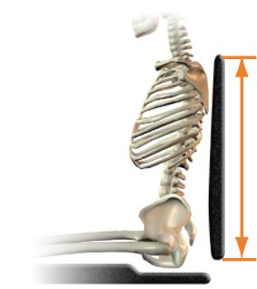 Thoracic support (height) - too high